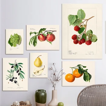 Винтажный ретро фруктовый плакат с Авокадо и клубникой, Скандинавская картина на холсте, настенные художественные плакаты, принты, декор для кухни, столовой